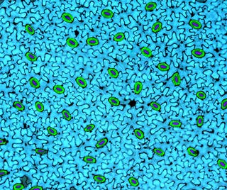 Science2Art 2024 artwork