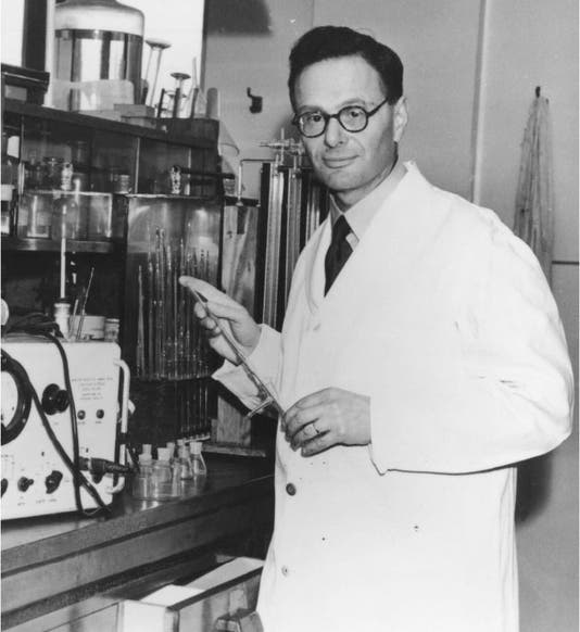 Hans Krebs in the lab at Sheffield, photograph, 1953, National Portrait Gallery, London (npg.org.uk)