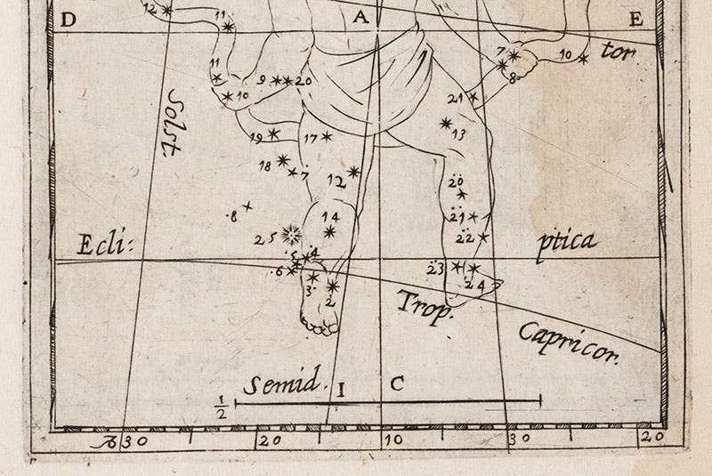 The bottom part of the constellation Ophiuchus, a detail of our third image, including a star numbered 25, the nova of 1604, from Christoph Grienberger, Catalogus veteres … cum novis, 1612 (Linda Hall Library)