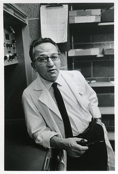Sol Spiegelman in the lab, University of Illinois, photograph, 1966 (nlm.nih.gov)