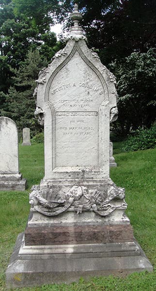Gravestone of Augustus A. Gould, Mount Auburn Cemetery,Cambridge, Mass. (findagrave.com)