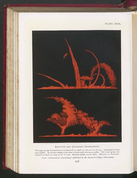 Solar prominences, by Etienne Trouvelot, in Annie and Edward Maunder, The Heavens and Their Story, 1908 (Linda Hall Library)