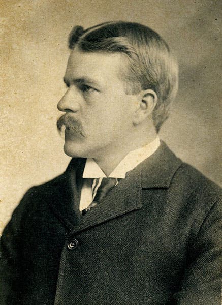 Edward Avery McIlhenny, photograph, ca 1905? (Avery Island Archives)