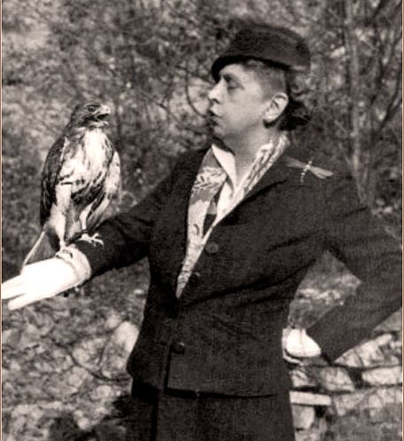 Rosalie Edge posing with a hawk, photograph, 1947 (wednesdayswomen.com)