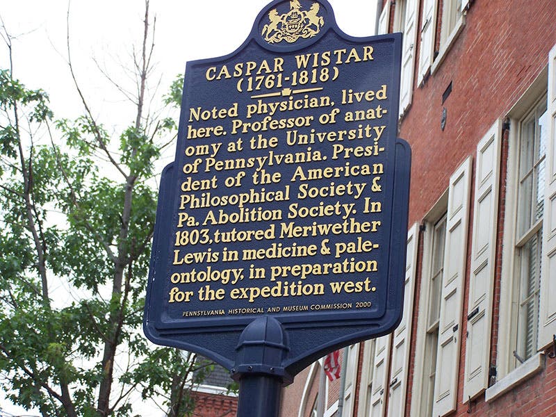 Street marker commemorating Caspar Wistar outside his house, Philadelphia (hmdb.org)
