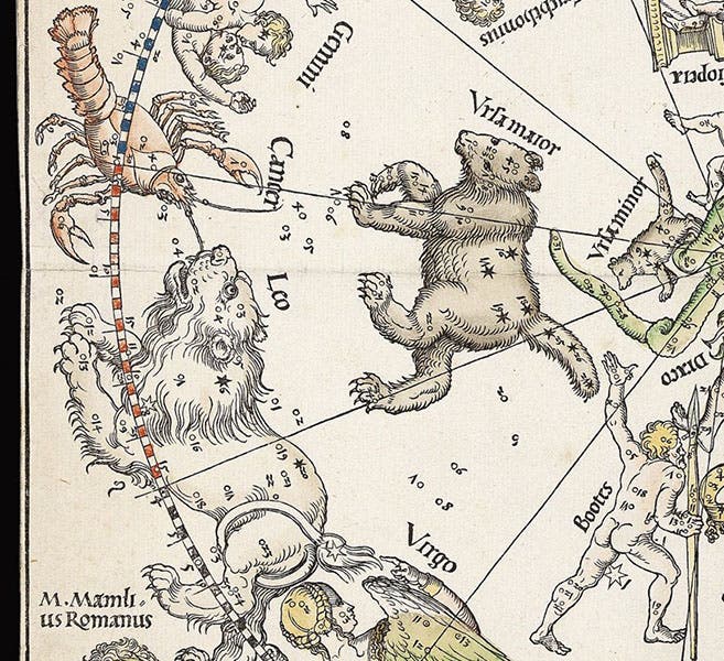 The constellations Ursa major, Cancer, and Leo, detail from Imagines Coeli Septentrionales (northern celestial hemisphere), woodcut by Albrecht Dürer et al., 1515, offered and sold by Daniel Crouch Rare Books (crouchrarebooks.com)