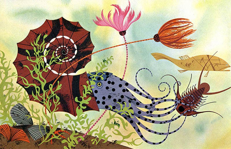 A nautilus, illustration by Charley Harper, for The Giant Golden Book of Biology, by Gerald Ames and Rose Wyler, 1961 (charleyharperprints.com)