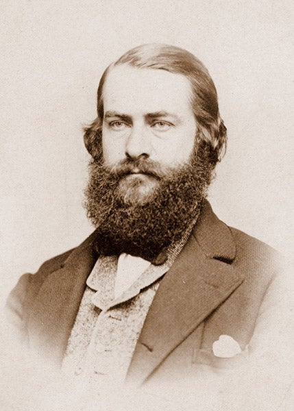 Joseph Leidy, portrait photograph, ca 1870 (Wikimedia commons)