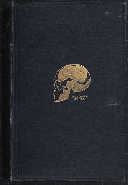 Piltdown fragments assembled into a skull and embossed in gold on the front cover of Arthur Keith, The Antiquity of Man, 1915 (Linda Hall Library)