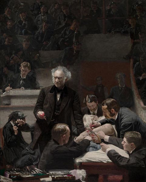 The Gross Clinic, oil on canvas, by Thomas Eakins, 1875, Philadellphia Museum of Art and Pennsylvania Academy of Fine Arts (philamuseum.org)