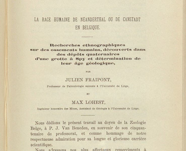 First page of article on the Spy skulls, detail, by Julien Fraipont and Max Lohst, Archives de Biologie, vol. 7, 1887 (Linda Hall Library)