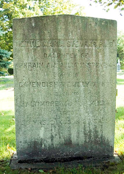 Tombstone of Nettie Maria Stevens, Fairview Cemetery, Westford, Mass. (findagrave,com)