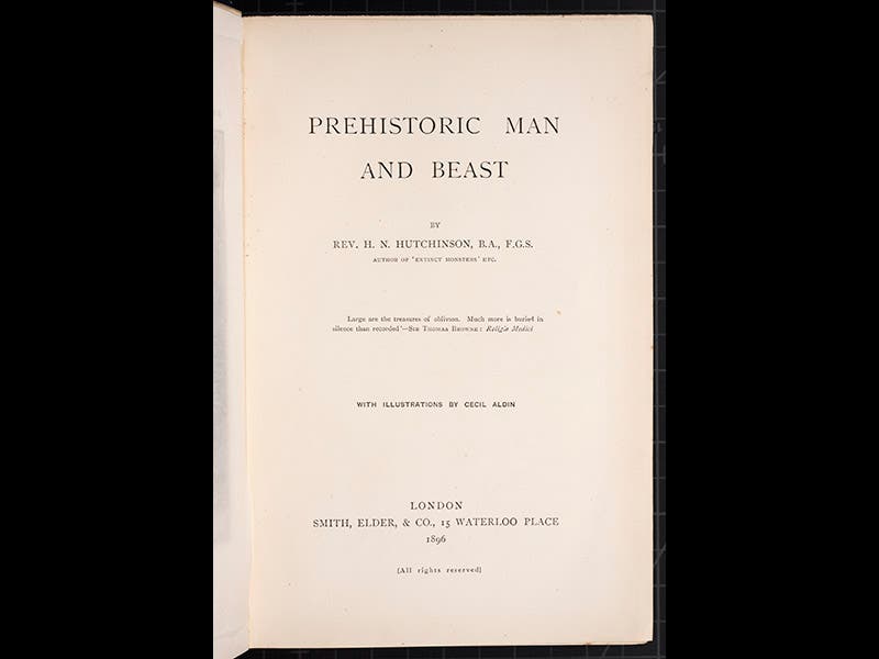 hum023002, 10/15/10, 2:45 PM, 8C, 6000x8000 (0+0), 100%, lhl, 1/60 s, R62.0, G48.2, B58.1
