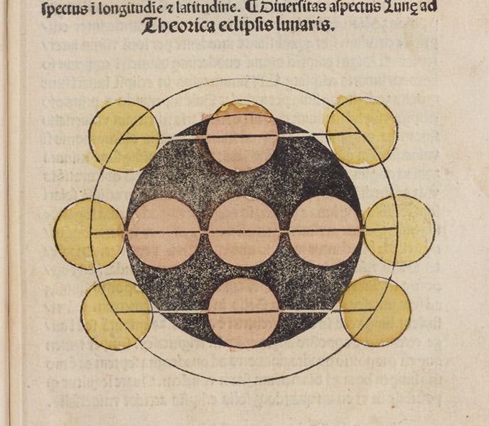 Detail of sixth image, showing the hand-coloring, Sphaera mundi, by Johannes de Sacobosco, 1482 (Linda Hall Library)