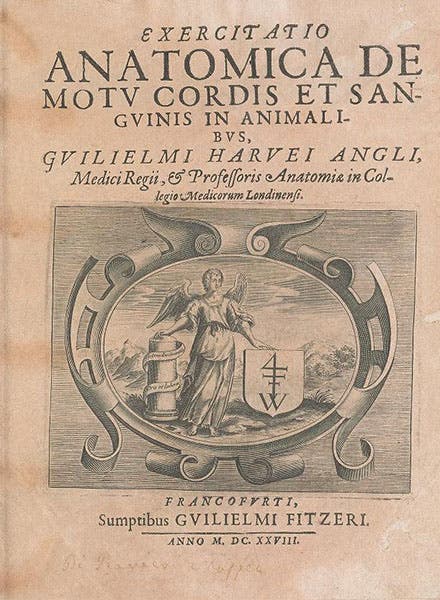 Title page of De motu cordis, by William Harvey, printed in Frankfurt, 1628, Smithsonian Institution Libraries (library.si.edu)
