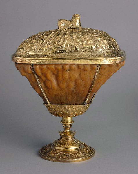 Cup fashioned from a rhinoceros horn with gold lid and base, ca 1575, in the collections of Schloss Ambras (Schloss Ambras/Kunsthistorisches Museum, Vienna)