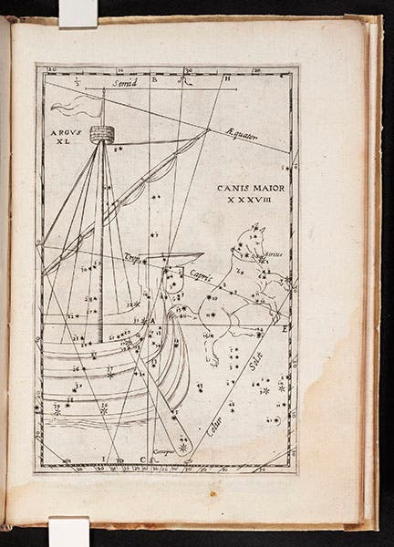 The constellations Argo (left) and Canis major (right), etched plate in Christoph Grienberger, Catalogus veteres … cum novis, 1612 (Linda Hall Library)