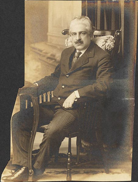 Portrait of Oswaldo Cruz, photograph, 1910-1917 (Wikimedia commons)
