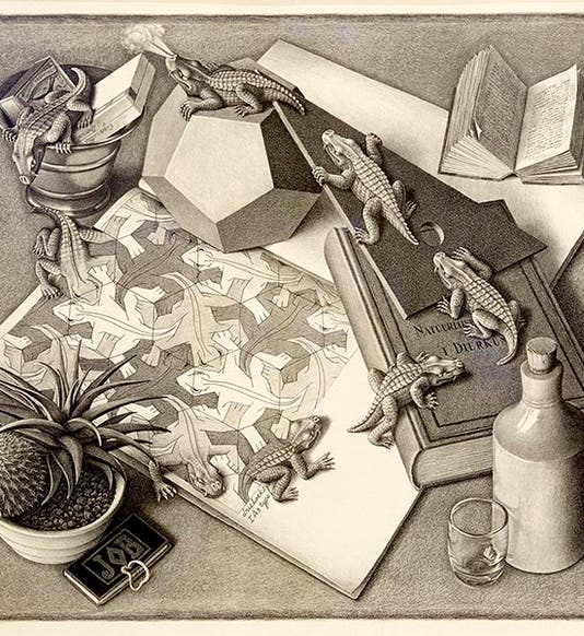 <i>Reptiles</i>, lithograph by Maurits Escher, 1943 (WBUR Boston)
