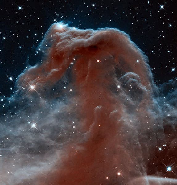 The Horsehead Nebula, image from the Hubble Space Telescope, 2012 (cdn.spacetelescope.org)