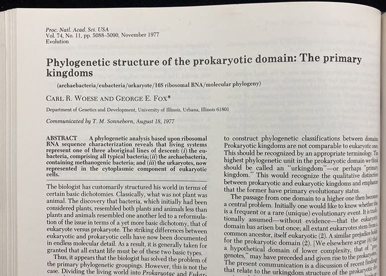 First paragraph, “Phylogenetic structure of the prokaryotic domain: The primary kingdoms,” by Carl R. Woese and George E. Fox, Proceedings of the National Academy of Sciences, vol. 74(11), p. 5088, 1977 (Linda Hall Library)