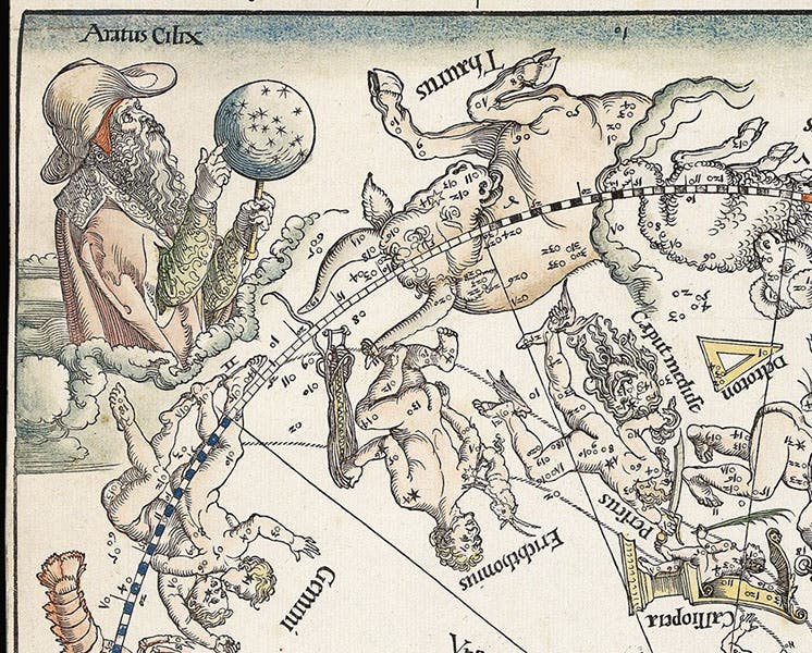 Imagined portrait of Aratus of Soli, Imagines Coeli Septentrionales (northern celestial hemisphere), woodcut by Albrecht Dürer et al., 1515, offered and sold by Daniel Crouch Rare Books (crouchrarebooks.com)
