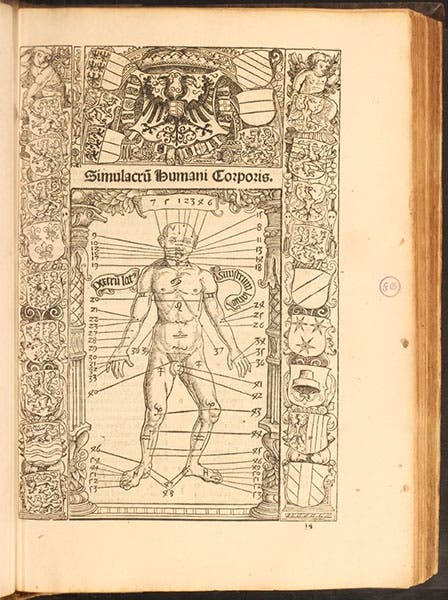 Surprise appearance of a vein-letting man, in Johannes Stöffler, Calendarium Romanum magnum, 1518 (Linda Hall Library)
