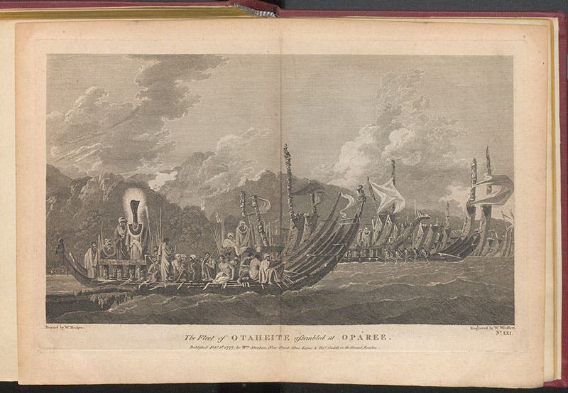 “The Fleet of Otaheite assembled at Oparee,” engraving after William Hodges, in A Voyage towards the South Pole and Round the World, by James Cook, vol. 1, plate 61, 4th ed., 1784 (Linda Hall Library)