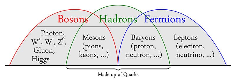 Diagram of the “particle zoo,” divided into three overlapping groups of Bosons, Hadrons, and Fermions; the hadrons – protons, neutrons, and mesons – are the ones made up of quarks (Wikimedia commons)