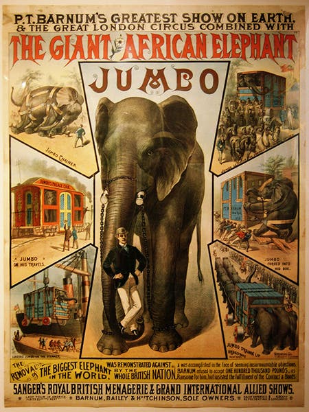 Poster promoting Jumbo for P.T. Barnum’s Greatest Show on Earth, 1880s (Wikimedia commons)