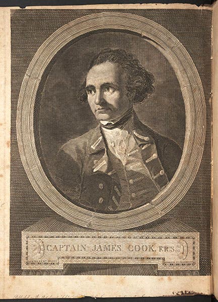 Portrait of James Cook, drawn by William Hodges and engraved by James Basire, in Cook’s A voyage towards the South Pole and round the world, 4th ed., 1784 (Linda Hall Library)