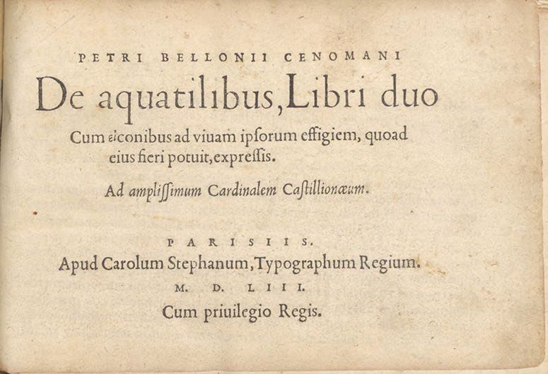 Title page, De aquatilibus, by Pierre Belon, 1553 (Linda Hall Library)