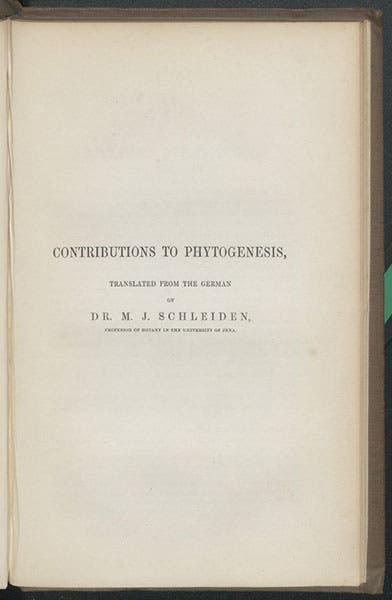 Half-title of the translation of Matthias Schleiden’s paper on phytogenesis, in Microscopical Researches into the Accordance in the Structure and Growth of Animals and Plants, 1847 (Linda Hall Library)