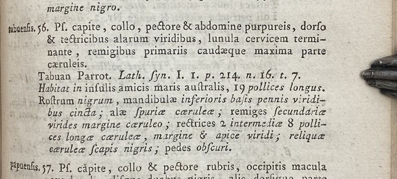 Detail showing the naming of Psittacus tabuensis, by Johann Friedrich Gmelin, citing John Latham’s Tabuan parrot, Systema naturae, by Carl von Linné, vol. 1, p. 317, 1789 (Linda Hall Library)