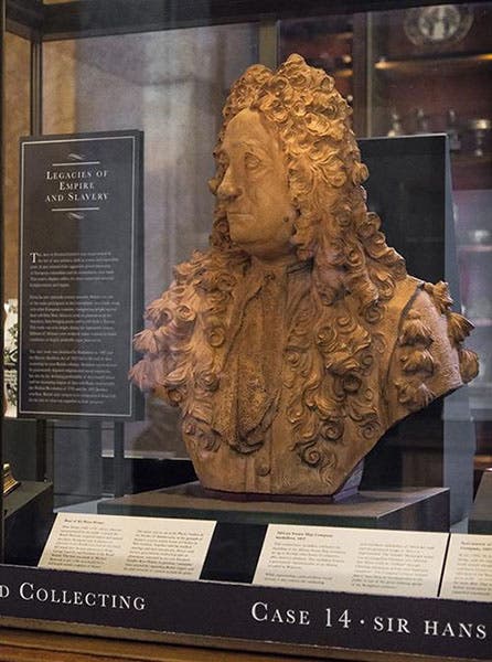 Terracotta bust of Hans Sloane in its new case, with the theme: “The Legacy of Empire and Slavery,” photograph after 2020 (britishmuseum.org)
