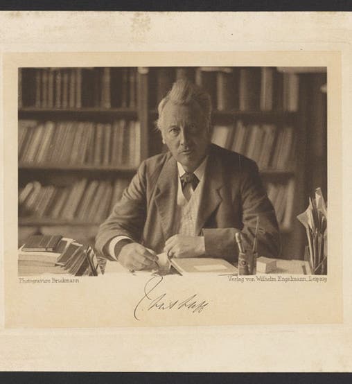Portrait of Jacobus Henricus van ‘t Hoff, photograph, before 1898, Science History Institute (digital.sciencehistory.org)