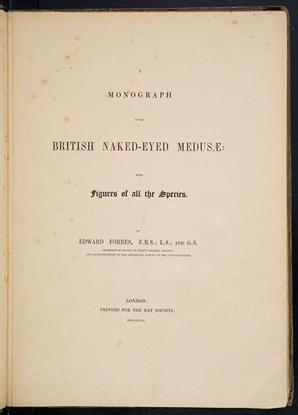 Title page, A Monograph of the British Naked-Eyed Medusæ, by Edward Forbes, 1848 (Linda Hall Library)