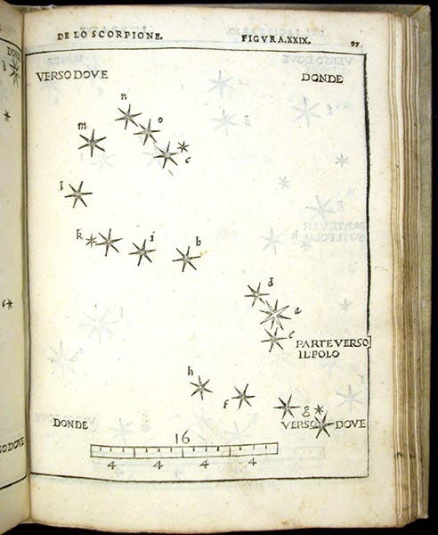 The constellation Scorpius, woodcut in De la sfera del mondo … De le stelle fisse, by Alessandro Piccolomini, plate 29, 1540 (Linda Hall Library)