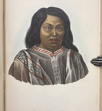An Araucanan from Chile, hand-colored lithograph in The Natural History of Man, by James Cowles Prichard, 4th ed., vol. 2, plate 58, 1855 (Linda Hall Library)