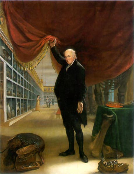 “The Artist in his Museum,” self-portrait by Charles Willson Peale, 1822, Pennsylvania Academy of Fine Arts (wikipedia.org)