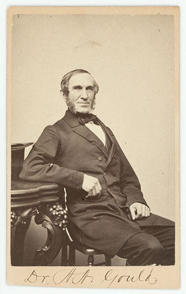 Portrait of Augustus A. Gould, photograph, ca 1860, National Portrait Gallery, Smithsonian Museum (npg.si.edu)
