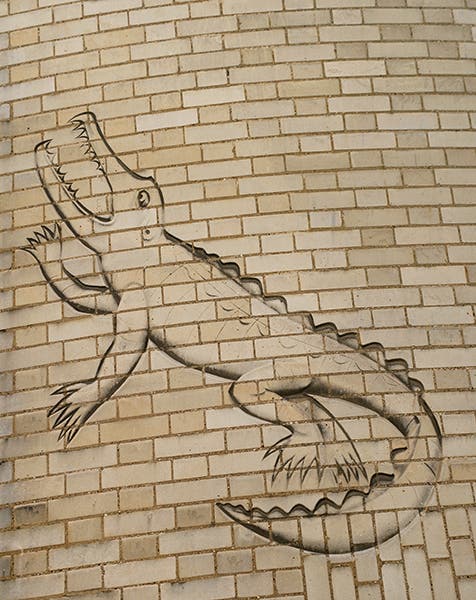 “The Crocodile,” representing Ernest Rutherford, carved into the brickwork of the Mond Laboratory, Cambridge University, on the instructions of Pyotr Kapitsa, 1933 (phyi.cam.ac.uk)