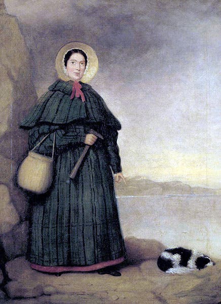Portrait of Mary Anning, unknown artist, ca 1842, copy made ca 1847 (Natural History Museum, London, via Wikipedia)