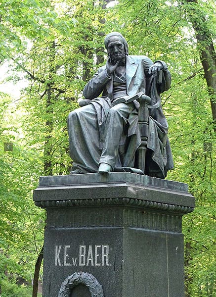 Statue of Karl Ernst von Baer, Tartu, Estonia (Wikimedia commons)