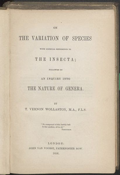 Titlepage, T. Vernon Wollaston, On the Variation of Species, With Especial Reference to the Insecta, 1856 (Linda Hall Library)