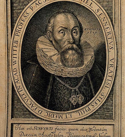 Portrait of Daniel Sennert, engraving by Matthäus Merian, 1627, Wellcome Collection, London (wellcomecollection.org)