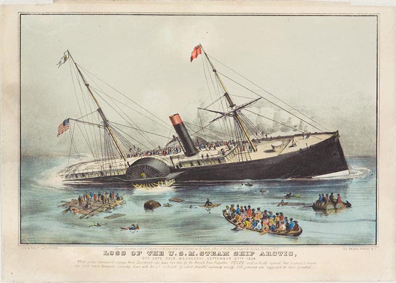The sinking of the SS Arctic, 1854, colored lithograph, Currier & Ives (Springfield Museums)
