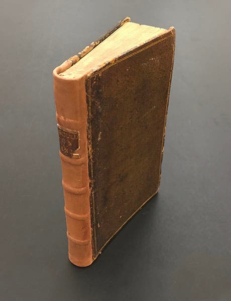 Front cover and rebacked spine, An Account of English Ants, by William Gould, 1747 (Linda Hall Library)
