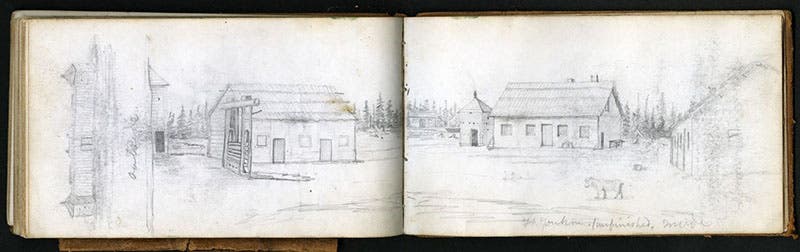 Opening of a Dall diary, showing his drawings of forts in the Yukon, 1867, Smithsonian Institution Archives (siarchives.si.edu)