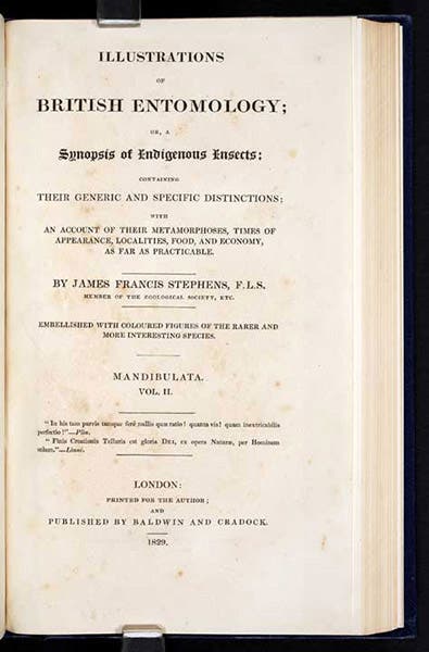 Titlepage, James Francis Stephens, Illustrations of British Entomology, vol. 2, 1829 (Linda Hall Library)